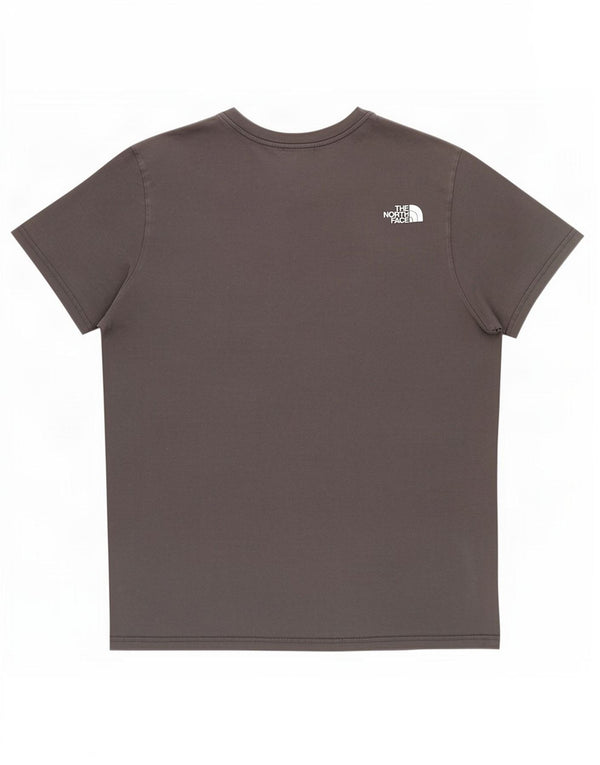 The North Face T-shirt graphique pour hommes, grand, gris, coton