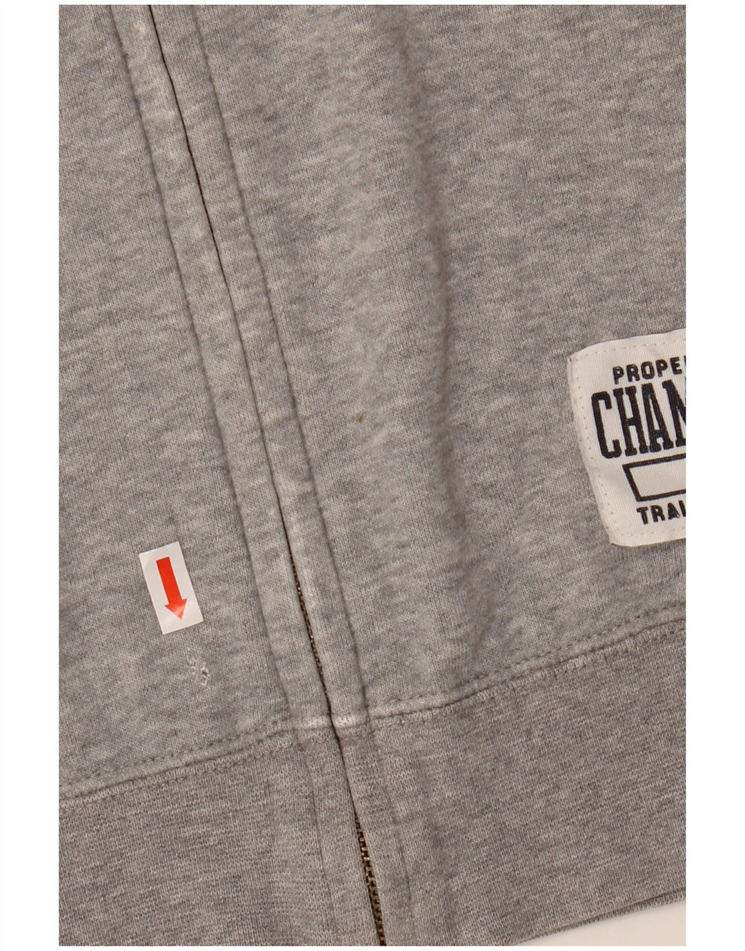 Champion Pull à capuche zippé graphique pour homme XL Gris Coton