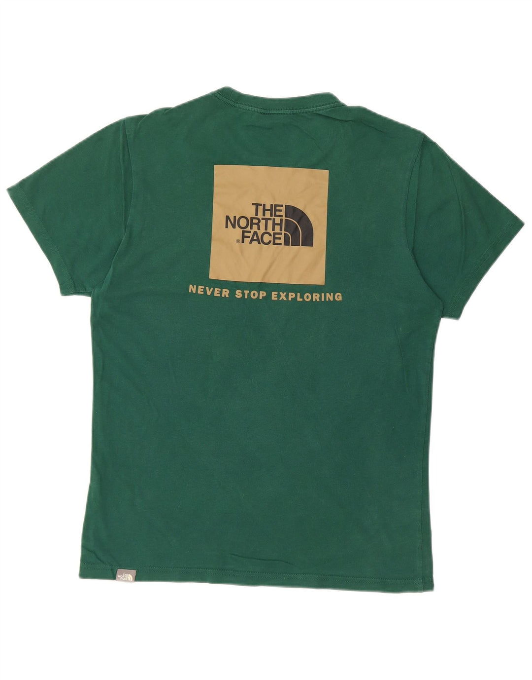 THE NORTH FACE T-shirt graphique pour hommes, petit, vert