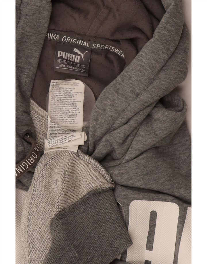 Puma Pull à Capuche Graphique Homme Gris Moyen Coton