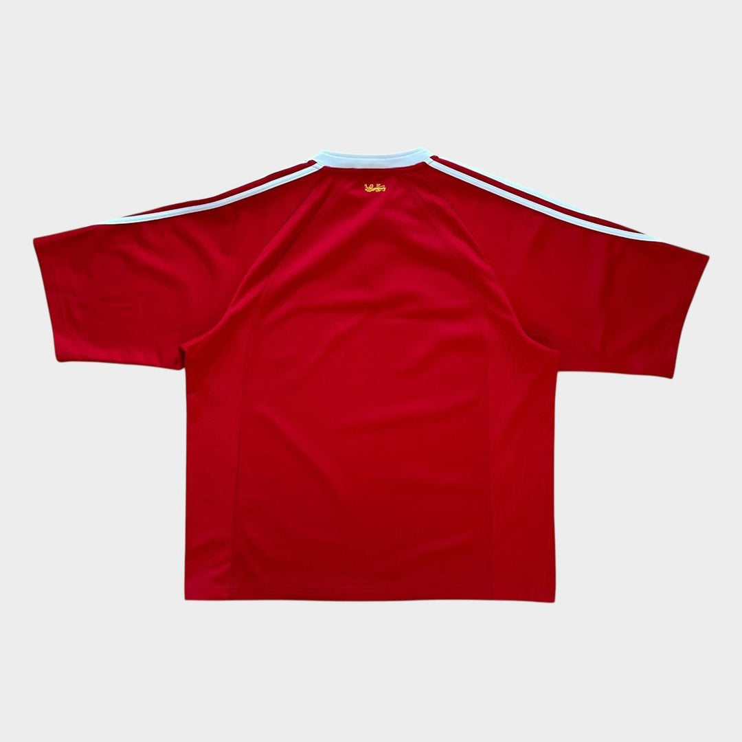 Haut de rugby vintage des Lions - XL