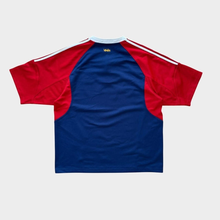 haut de rugby vintage des Lions - grand