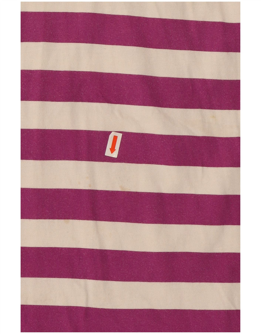 Invicta Polo Homme Petit Rayé Violet