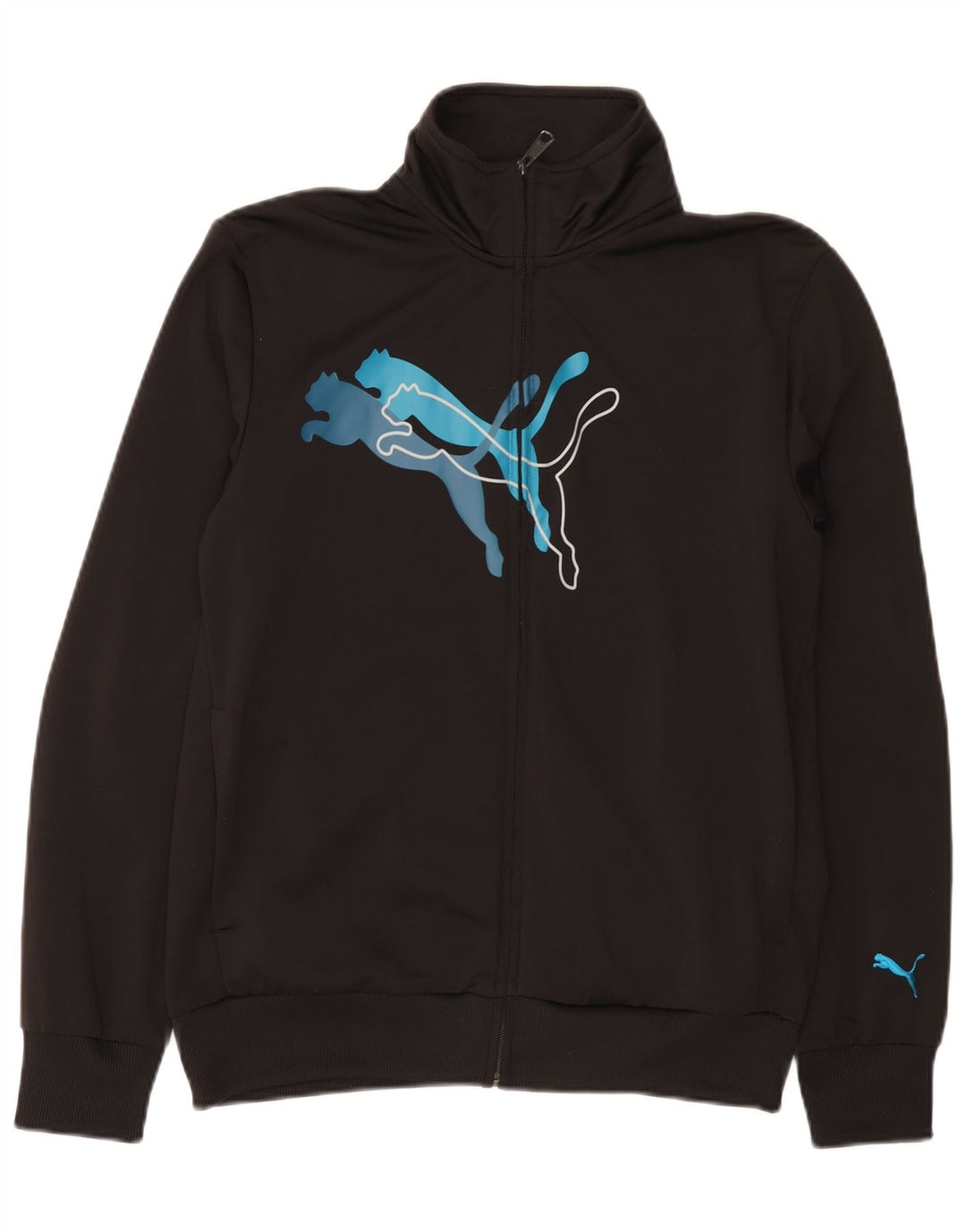 Puma Veste de Survêtement Graphic Homme Noir Moyen