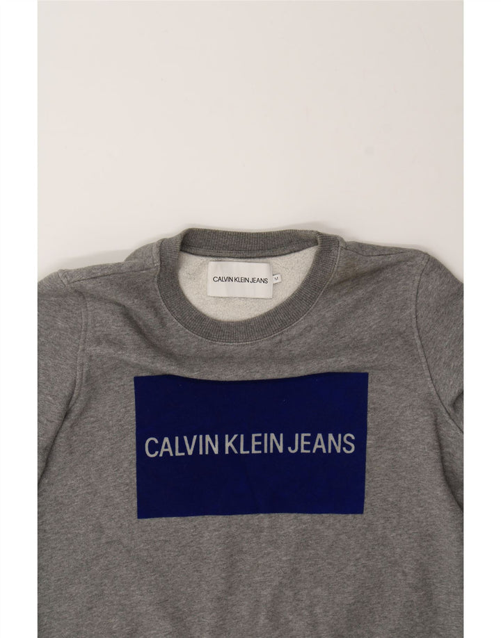 CALVIN KLEIN JEANS Womens Graphic Sweatshirt Jumper UK 14 Medium Grey Vintage Calvin Klein Jeans and Second-Hand Calvin Klein Jeans from Messina Hembry 