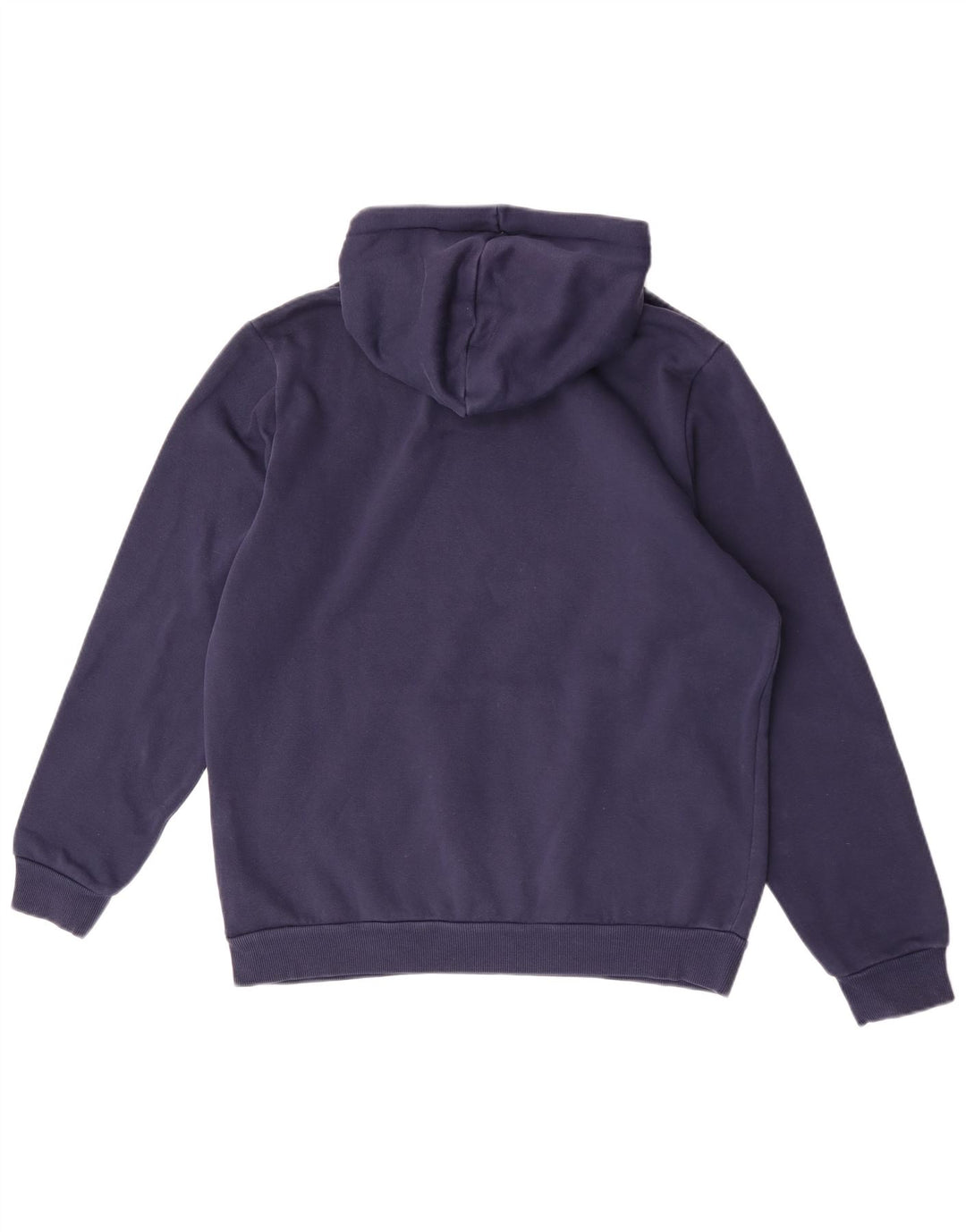 Puma Pull à Capuche Graphic Homme Bleu Marine Moyen Coton