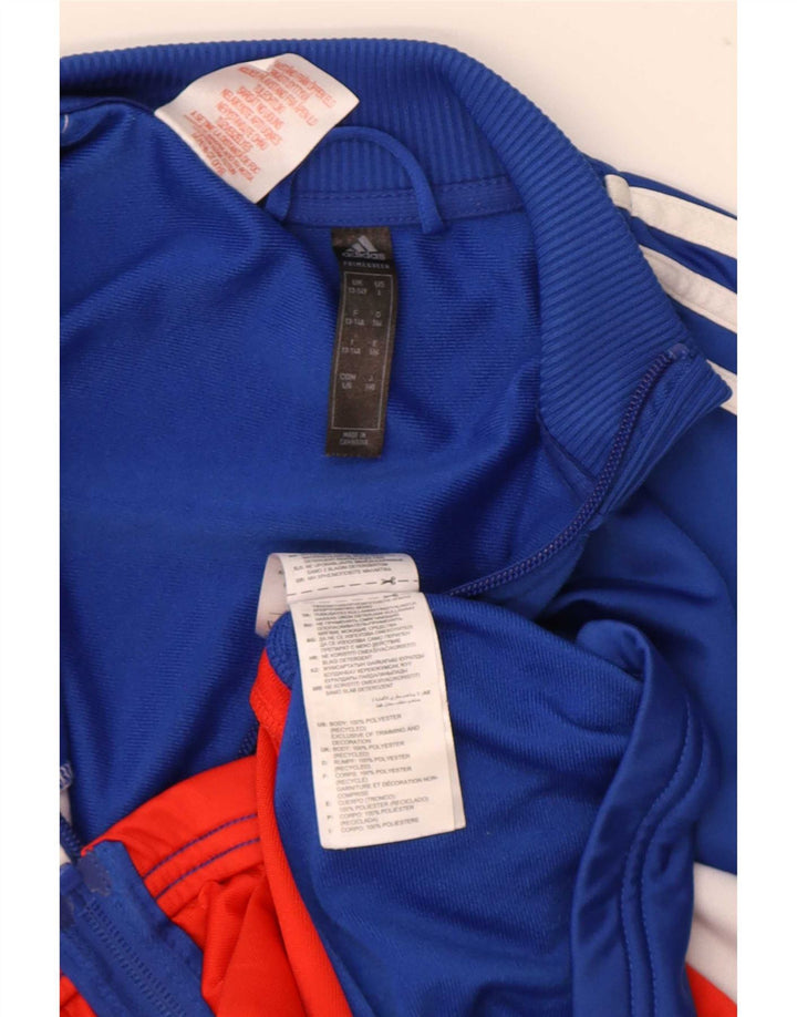 Adidas Veste de Survêtement Garçon 13-14 Ans Bleu Colorblock Polyester