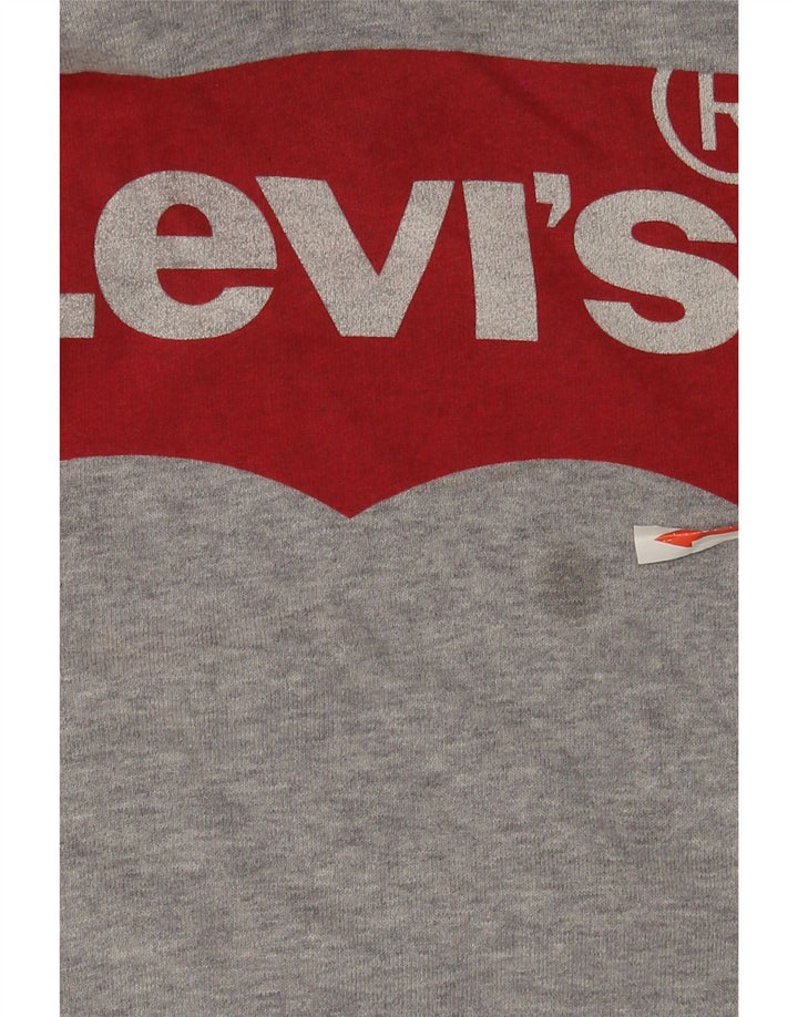 Levi's Pull à Capuche Graphique Homme Gris Moyen Moucheté Coton