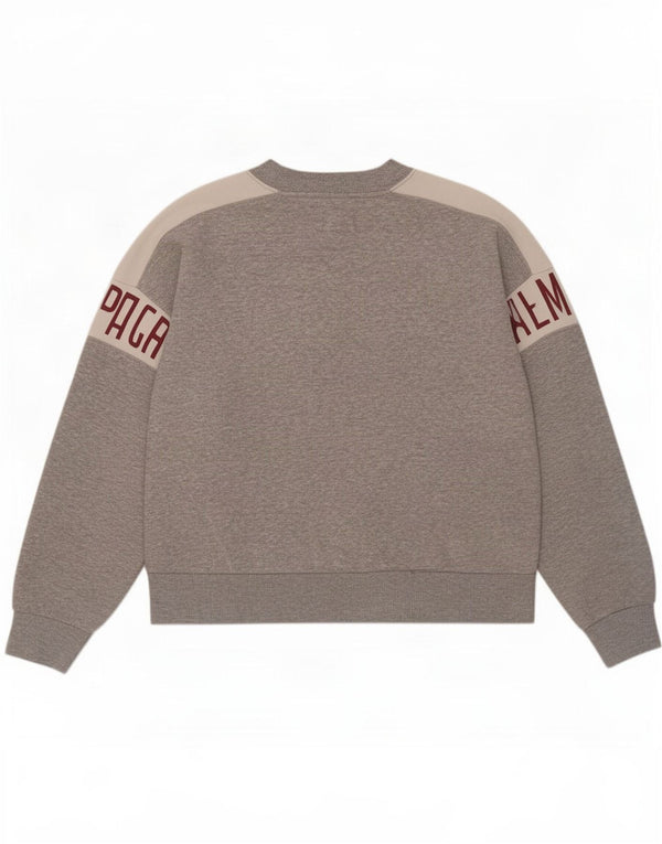 American Eagle Mens Graphic Sweatshirt Jumper Medium Grey Colourblock