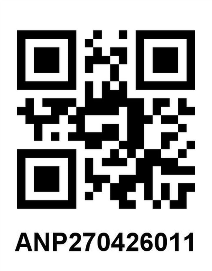 Wrangler Chemise en Jean Homme Grand Bleu