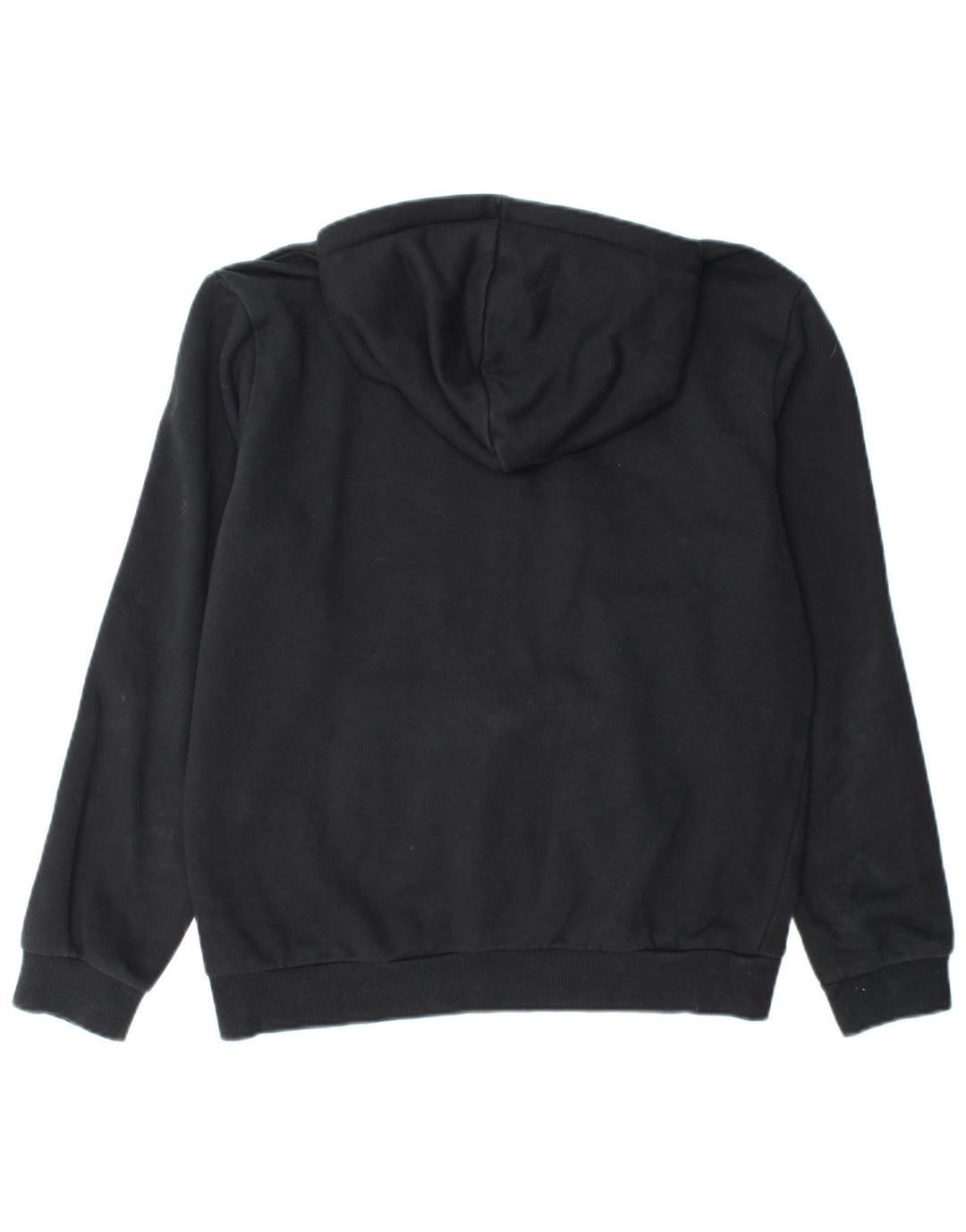 PUMA Sweat à Capuche Graphique Homme Noir Moyen Coton