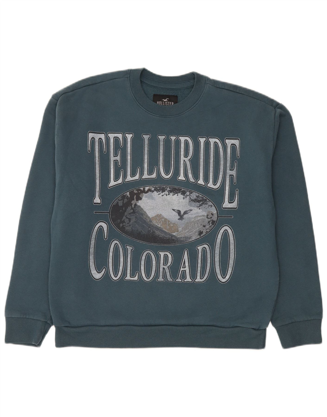 Hollister Sweat-shirt graphique pour hommes, grand, bleu, coton
