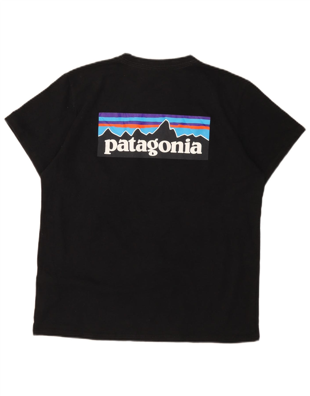Patagonia Femmes Graphique T-Shirt Top UK 16 Large Noir Polyester
