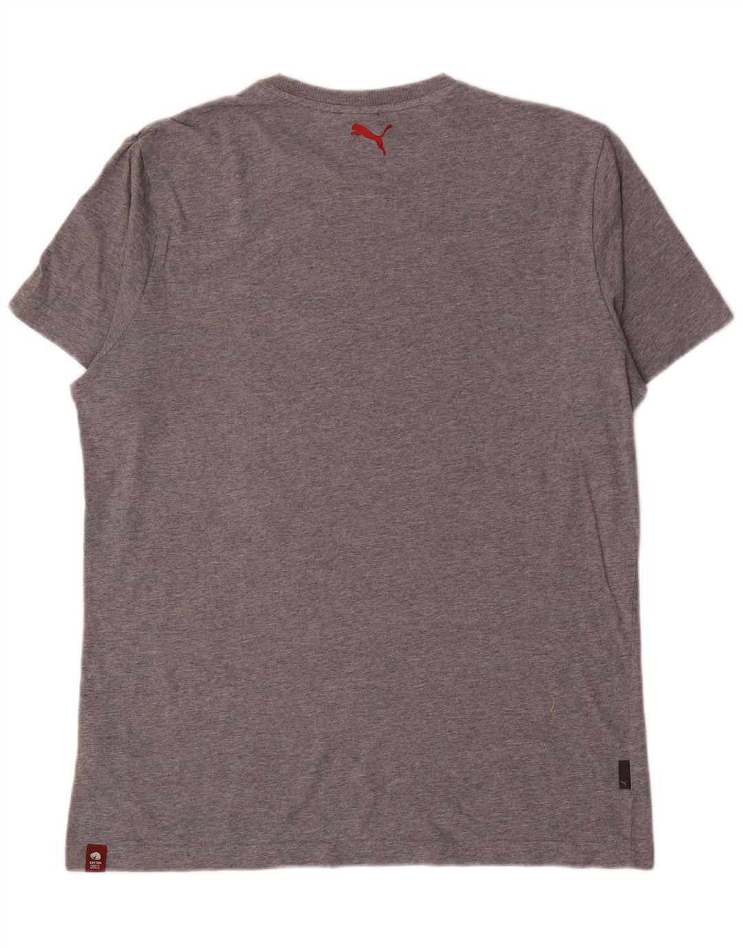 Puma T-shirt graphique pour homme, grand, gris