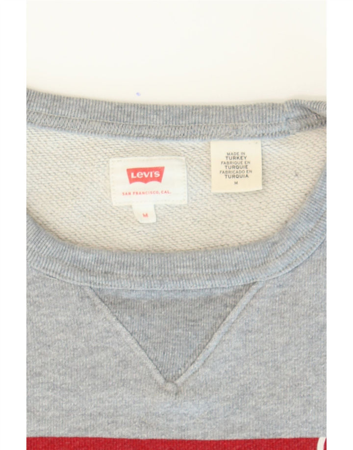LEVI'S Mens Graphic Sweatshirt Jumper Medium Grey Cotton Vintage Levi's and Second-Hand Levi's from Messina Hembry 