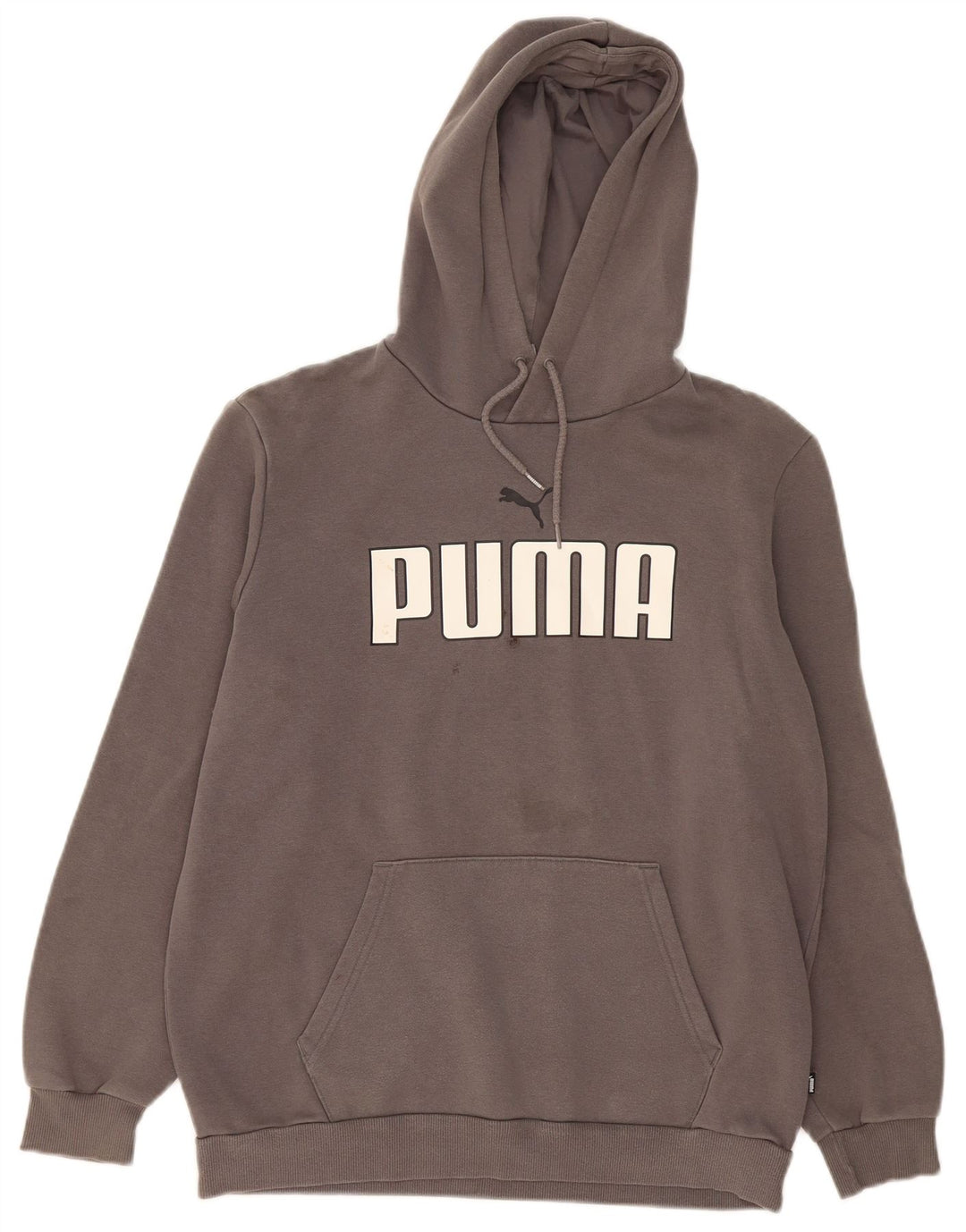 Puma Pull à Capuche Graphique Homme Gris Moyen Coton