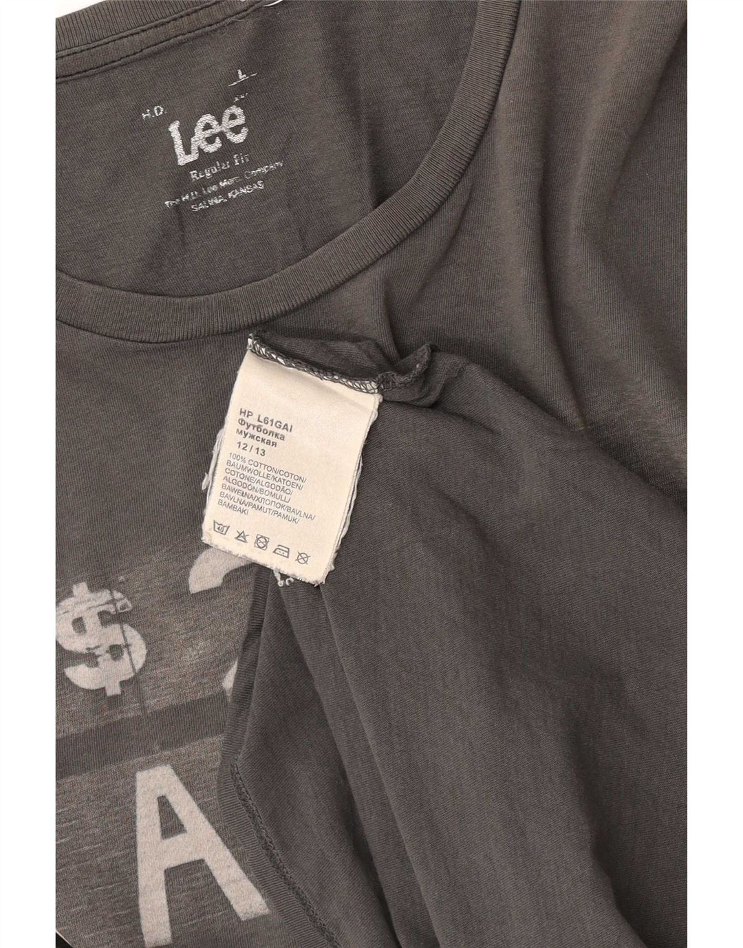 Lee T-shirt graphique coupe régulière pour hommes, grand gris, coton
