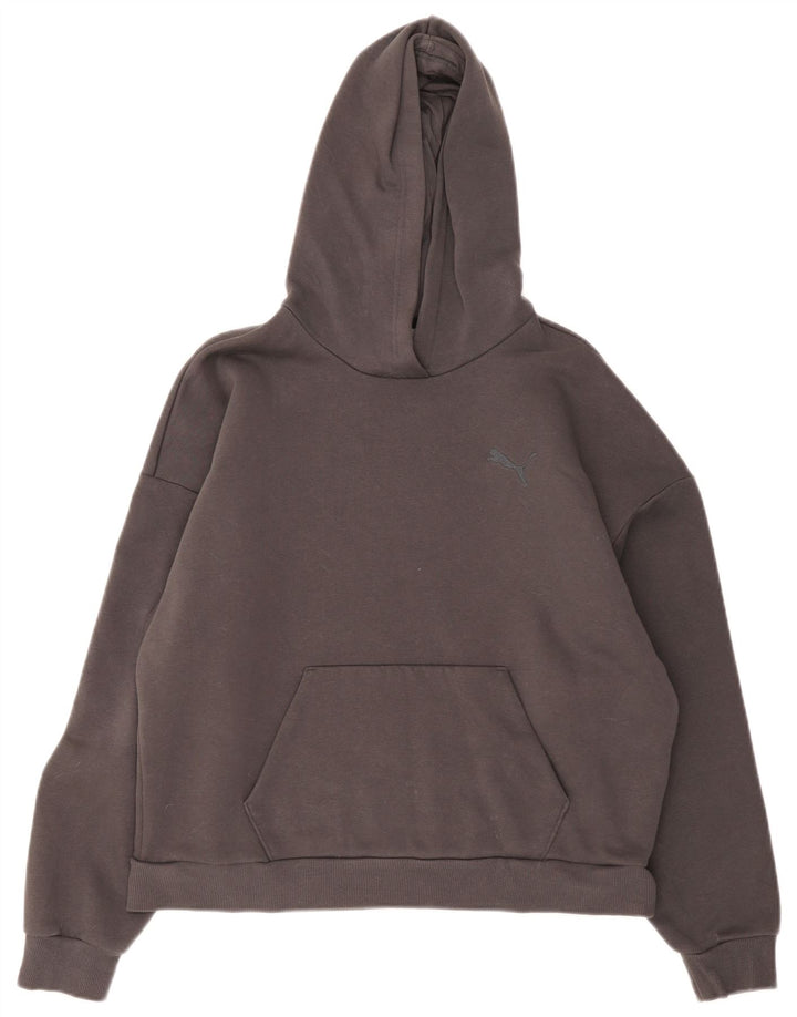 Puma Pull à capuche pour homme en coton gris Taille L