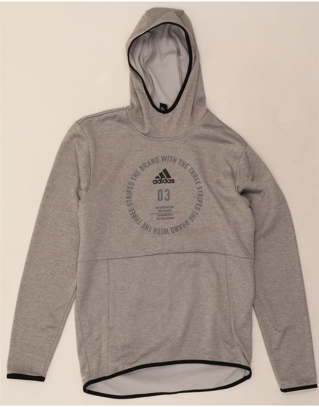 Adidas Pull à capuche graphique pour homme Petit gris Polyester