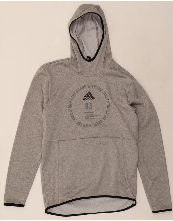 Adidas Pull à capuche graphique pour homme Petit gris Polyester