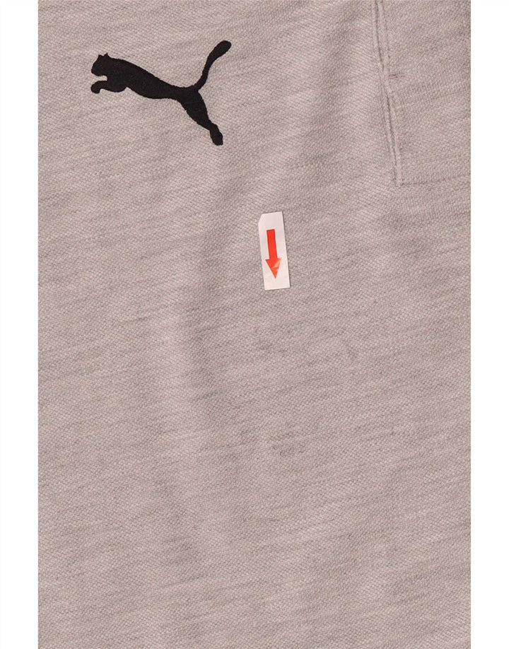 Puma Tee-Shirt Graphique Homme Gris Moyen Colourblock Cotton
