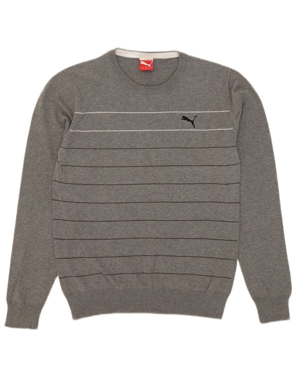 Puma Pull Ras du Cou Homme Gris Moyen Rayé