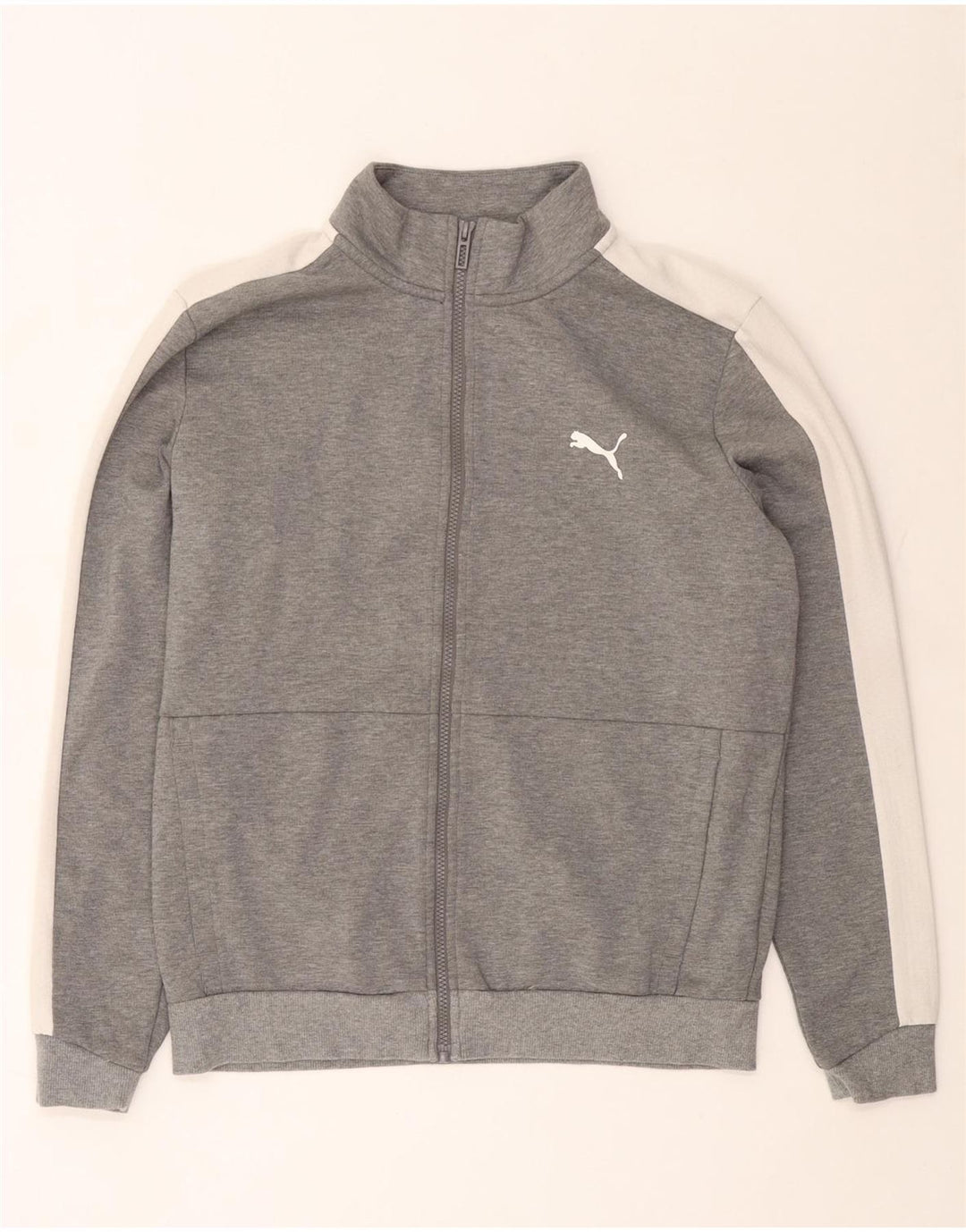 PUMA Veste de Survêtement Homme Gris Moyen Colourblock Cotton