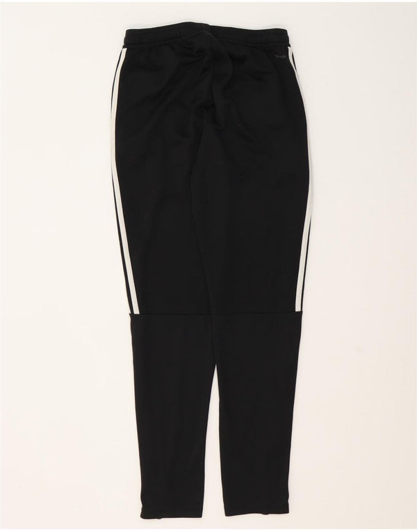 Adidas Pantalon de survêtement Climalite pour homme Petit Noir Polyester