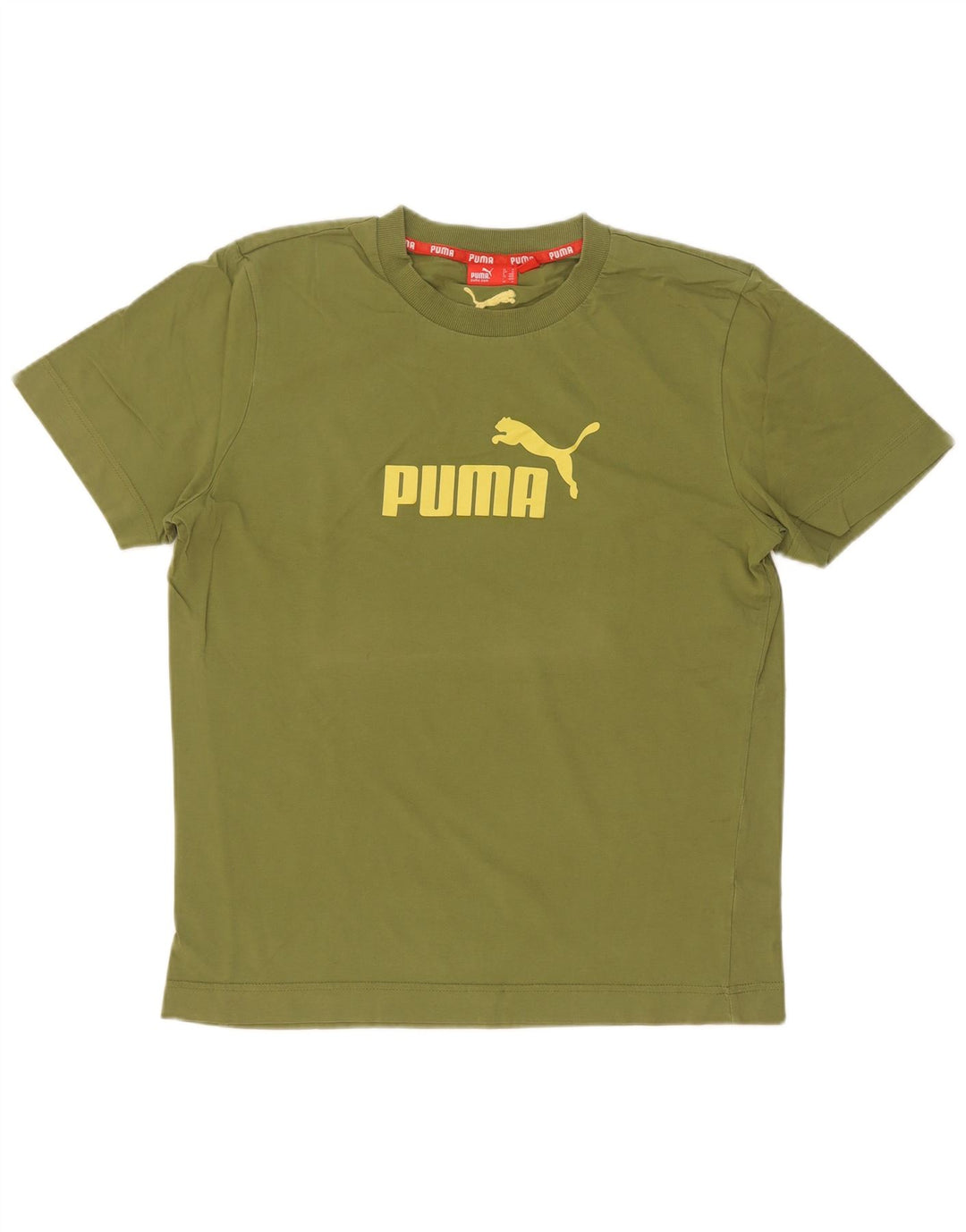 Puma Tee-Shirt Graphic Homme Vert Moyen