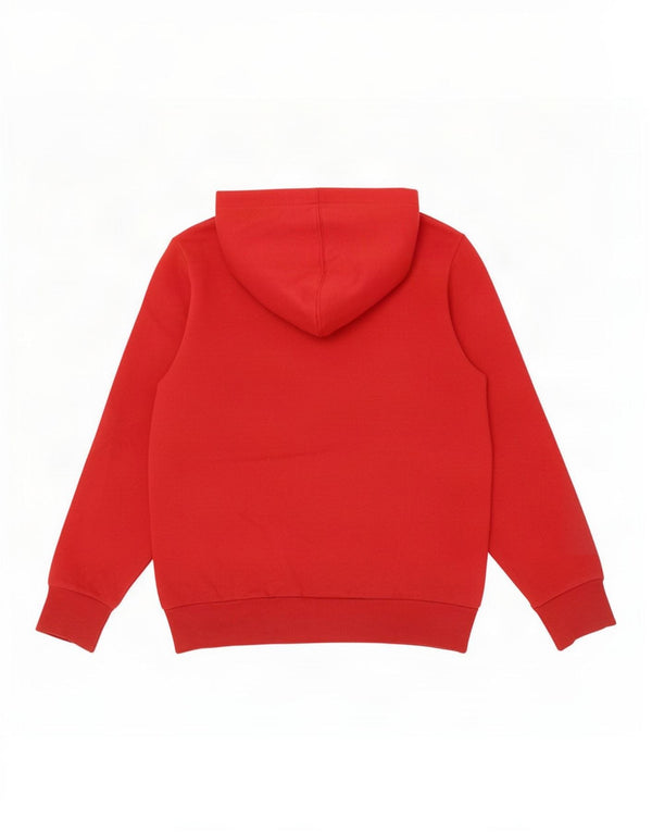 Levi's Pull à capuche graphique garçon 11-12 ans Rouge Coton