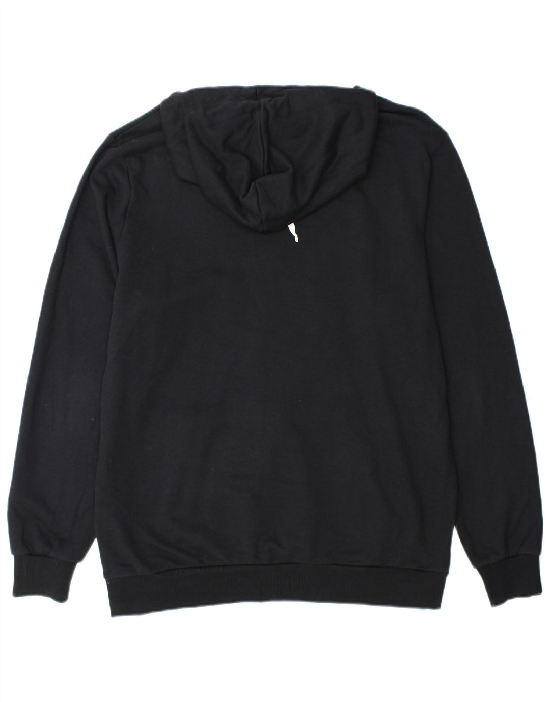 PUMA Sweat à capuche graphique pour homme, grand, noir