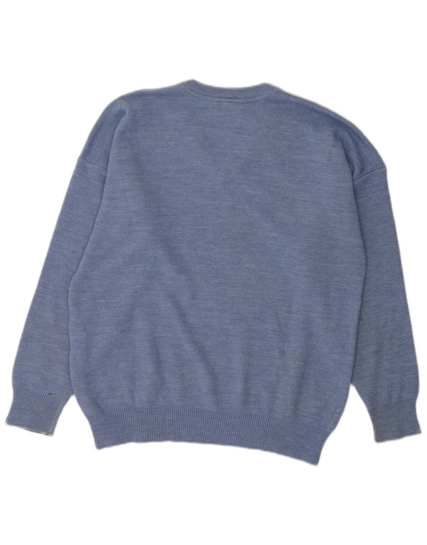 Lacoste Mens V-Neck Jumper Sweater Size 5 Large Blue Wool