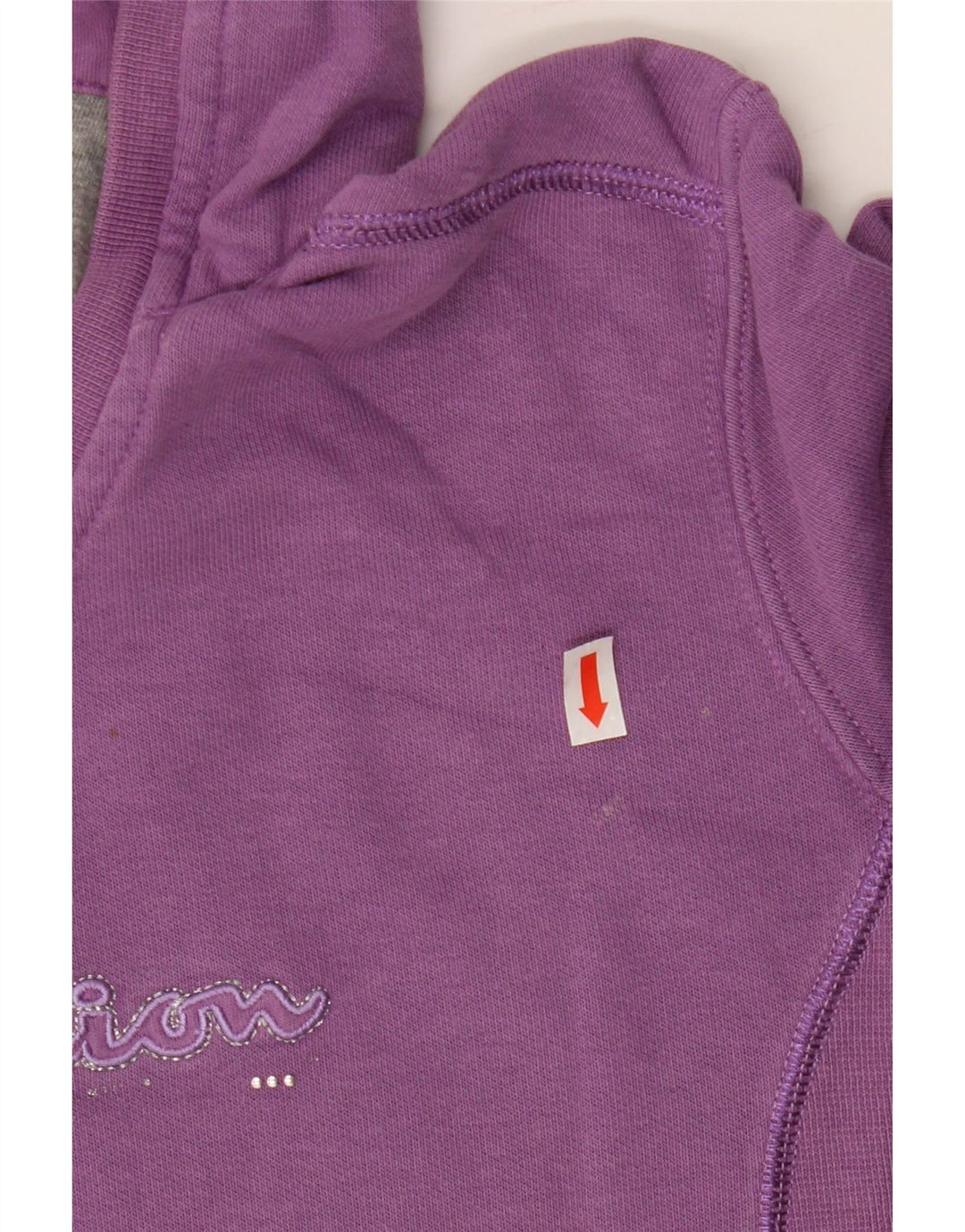 CHAMPION Pull à capuche Heritage Classics pour femme UK 14 Violet moyen