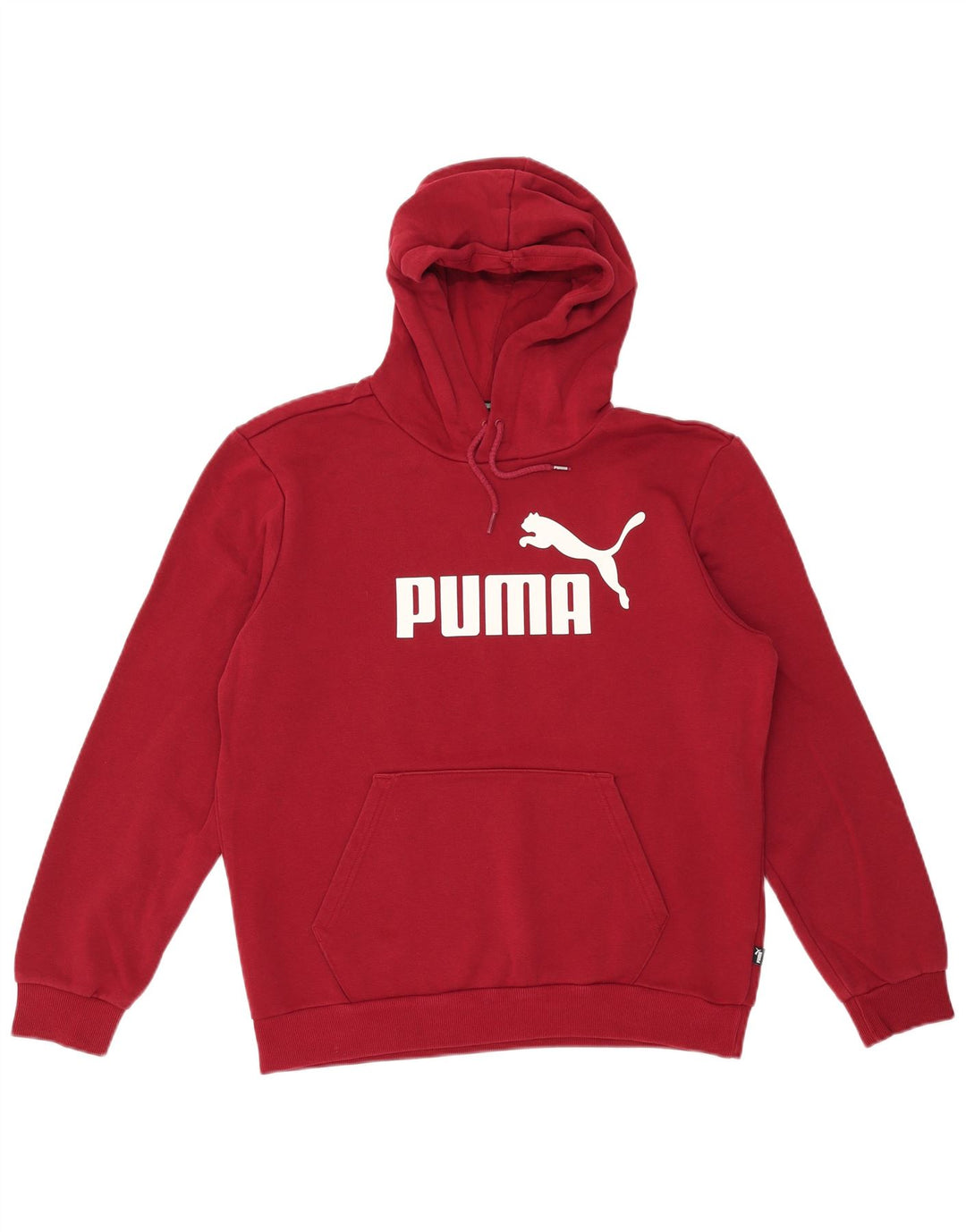 PUMA Pull à capuche graphique pour homme en coton marron moyen