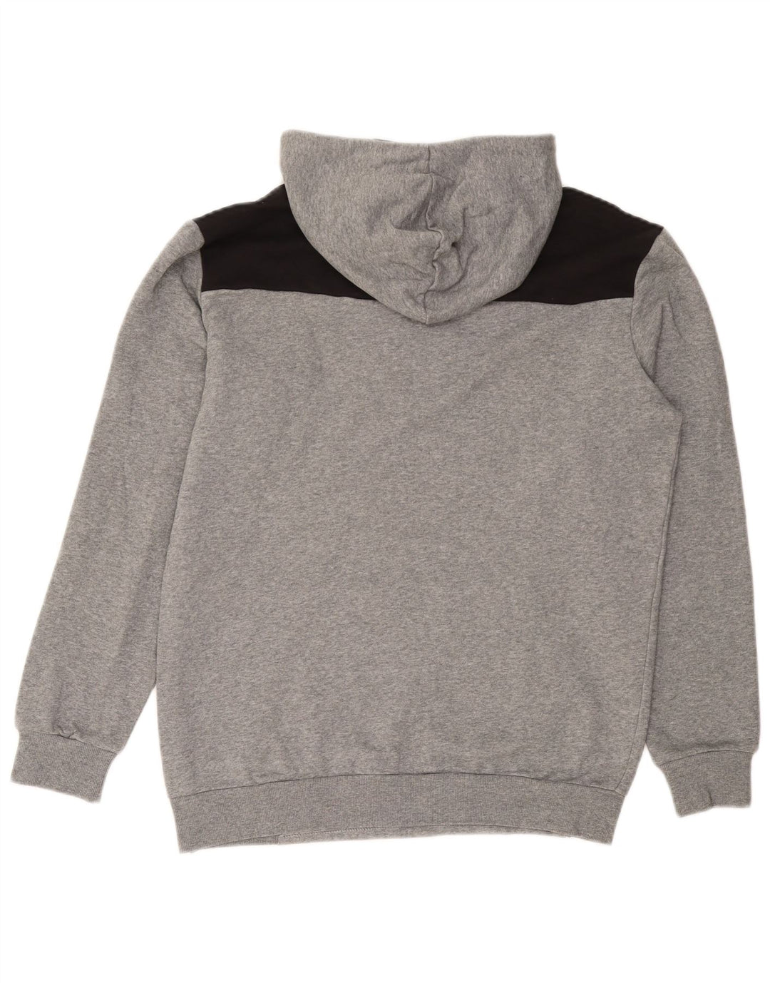 PUMA Sweat à Capuche Graphique Homme Gris Moyen Coton Colorblock