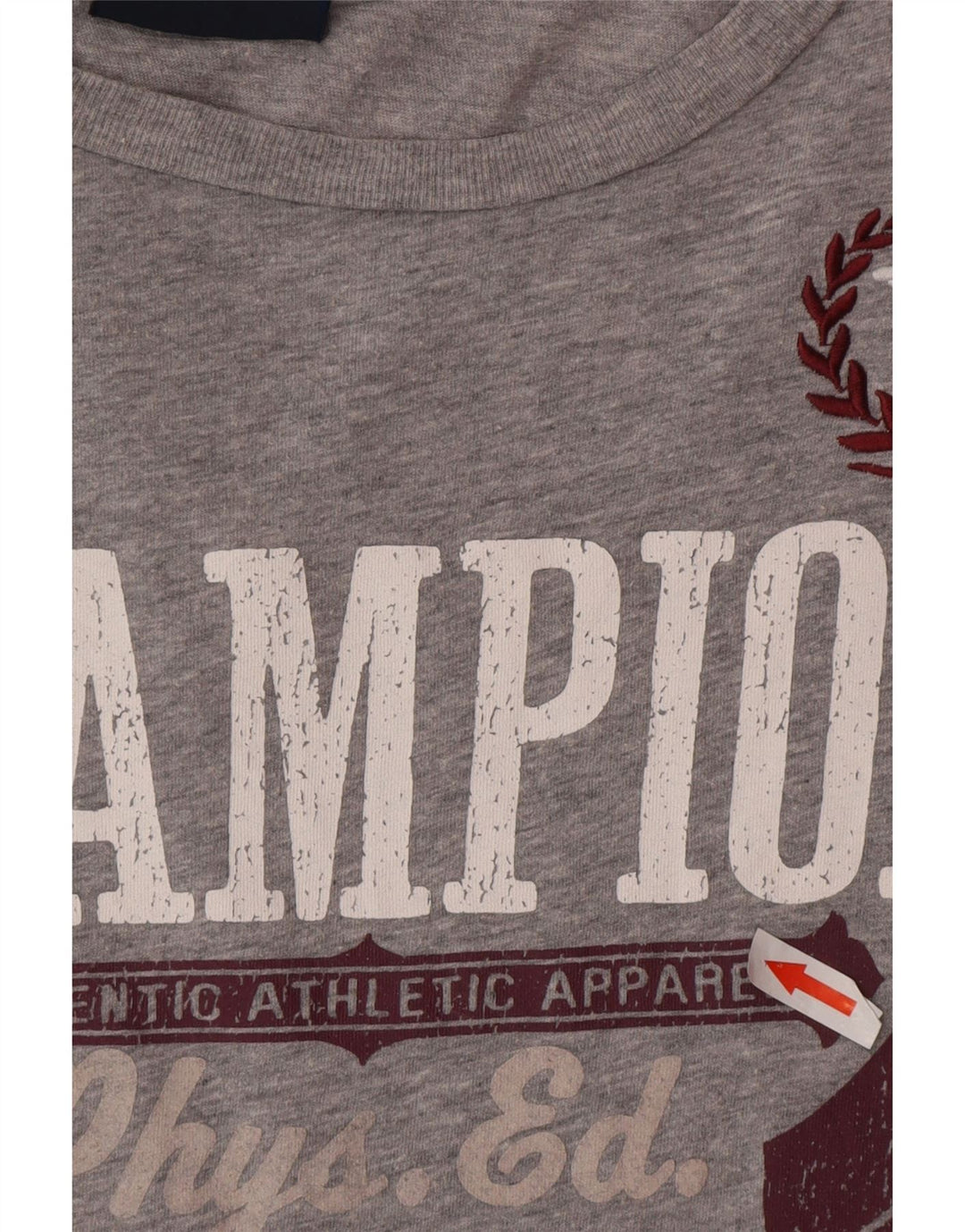 Champion T-Shirt Graphique Rochester Homme Grand Gris Coton