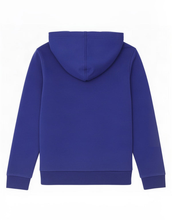 Adidas Pull à capuche graphique pour garçon 9-10 ans Bleu Coton