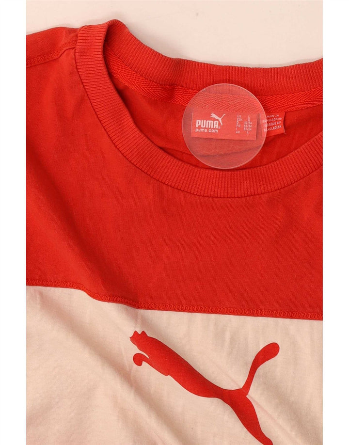Puma Débardeur Graphic Homme Rouge Large Colorblock