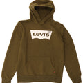 LEVI'S Boys Graphic Hoodie Jumper 13-14 Years Khaki Vintage Levi's and Second-Hand Levi's from Messina Hembry 