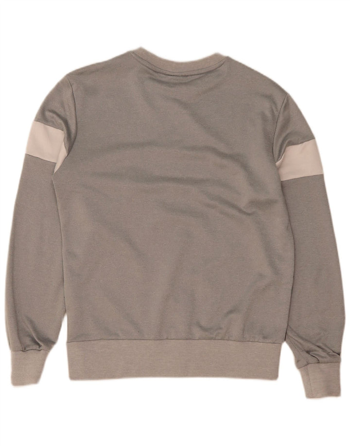Ellesse Sweat-shirt graphique pour homme Gris moyen Polyester color block