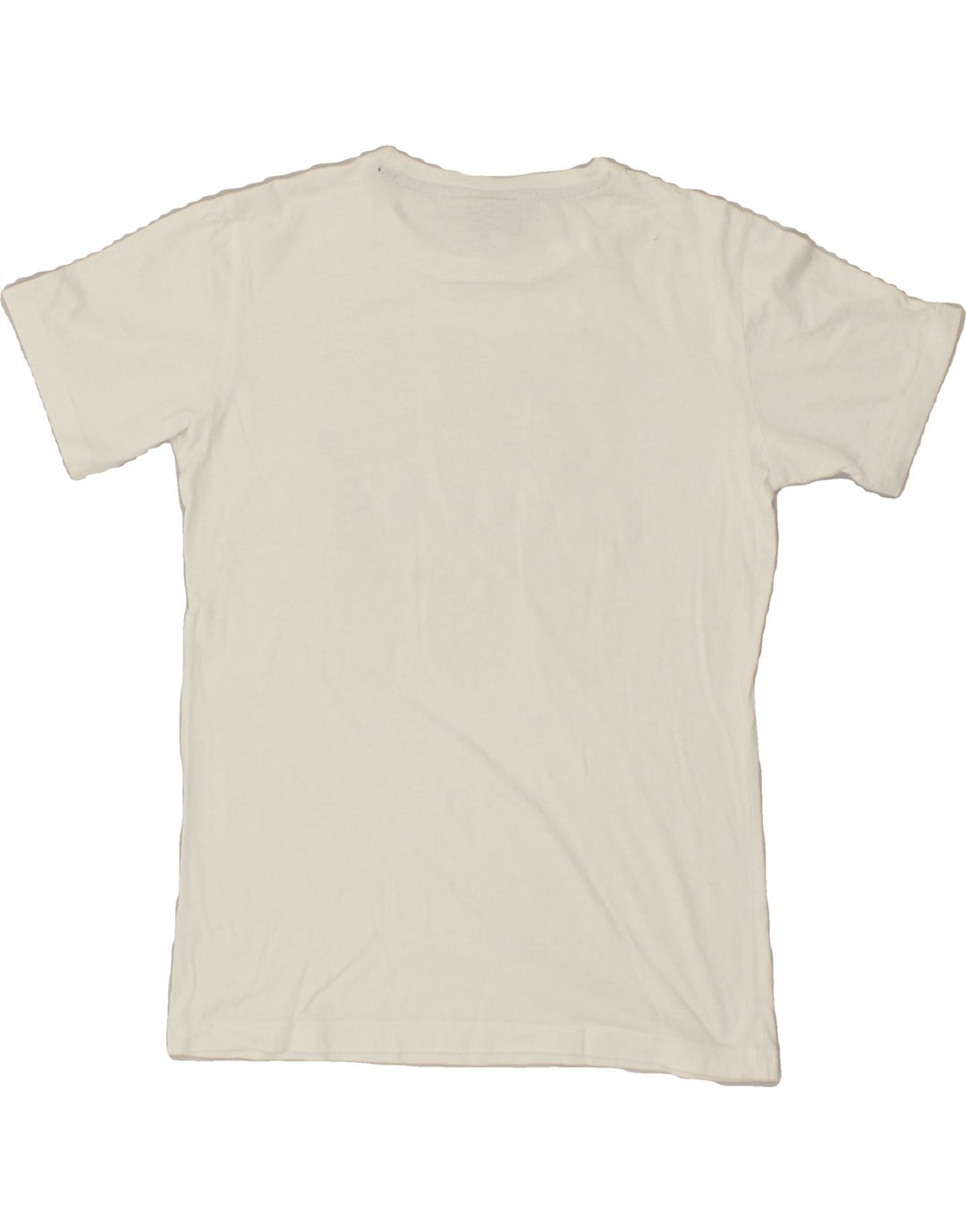 CHAMPION Boys Graphic T-Shirt Top 13-14 Years XL  White | Vintage Champion | Thrift | Second-Hand Champion | Used Clothing | Messina Hembry 