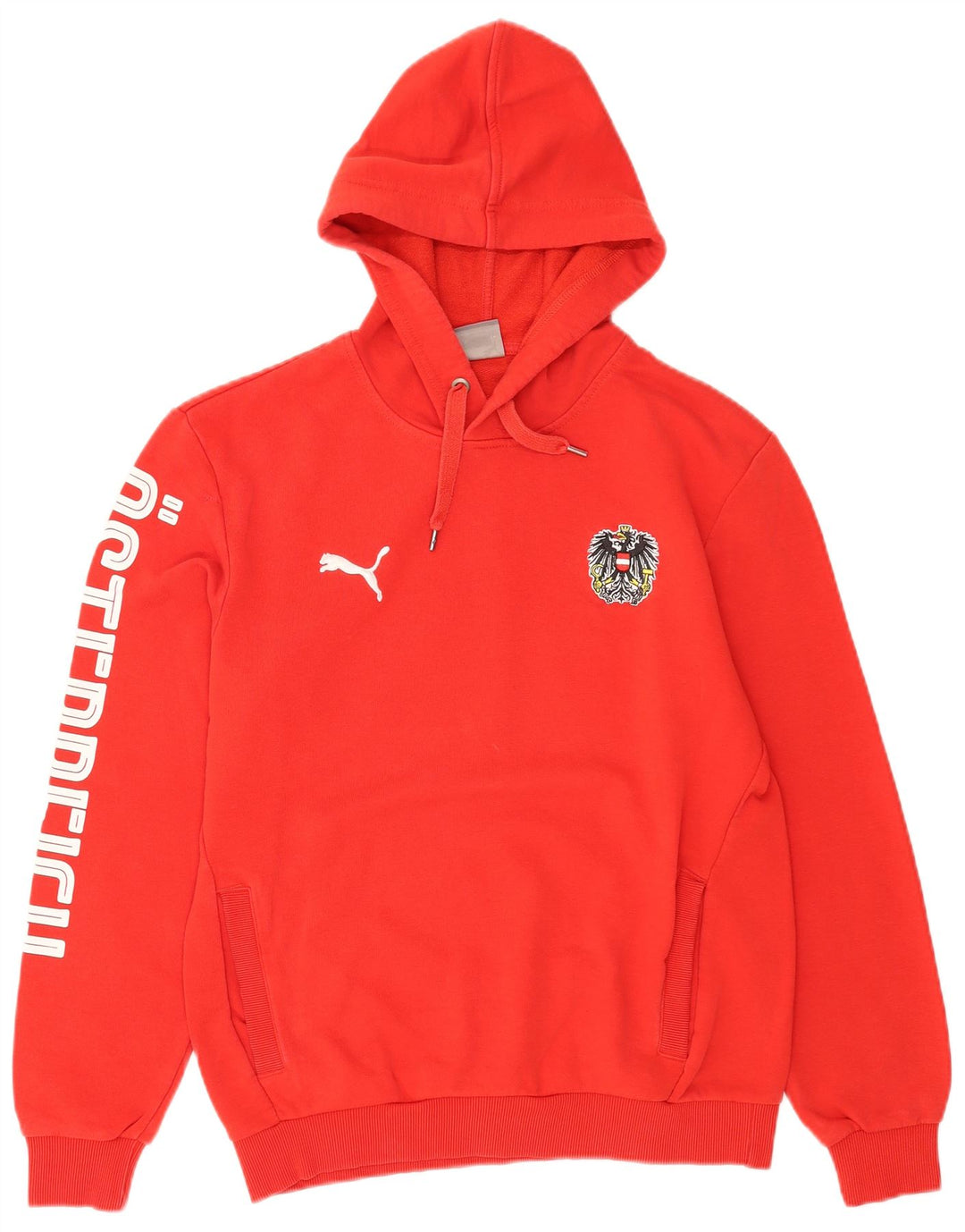 Puma Pull à Capuche Graphique Homme Rouge Moyen