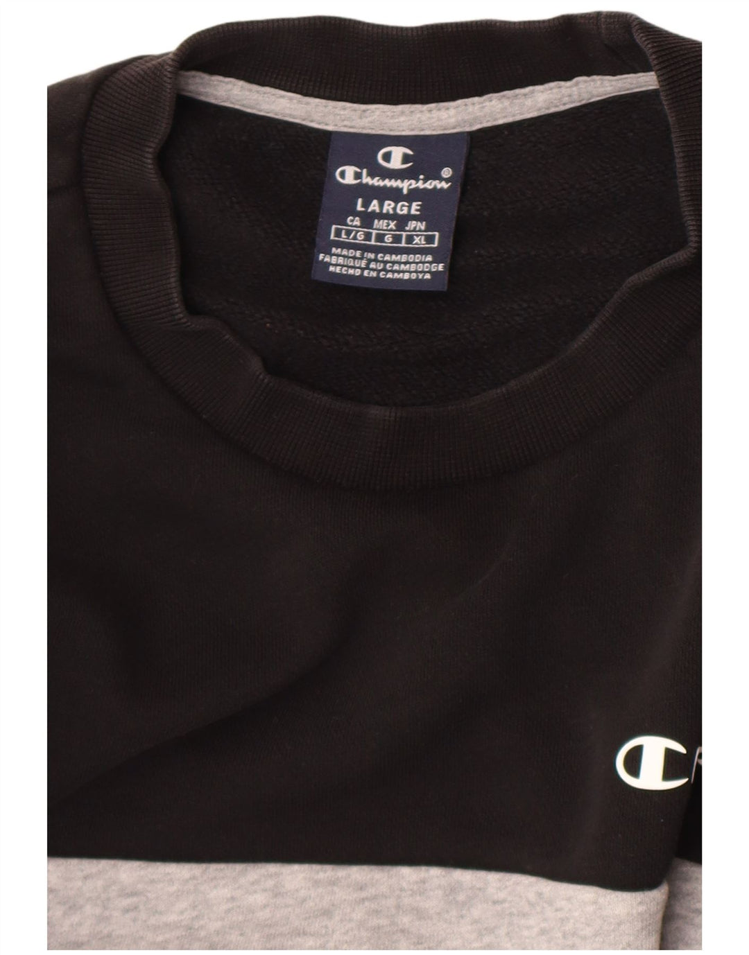Champion Sweat-shirt graphique pour hommes, grand, noir, colour block