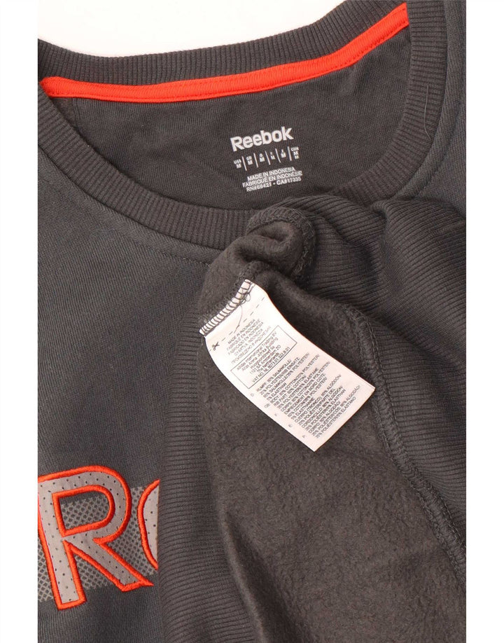 Reebok Sweatshirt Graphic Sweatshirt Jumper Homme Gris Moyen Coton