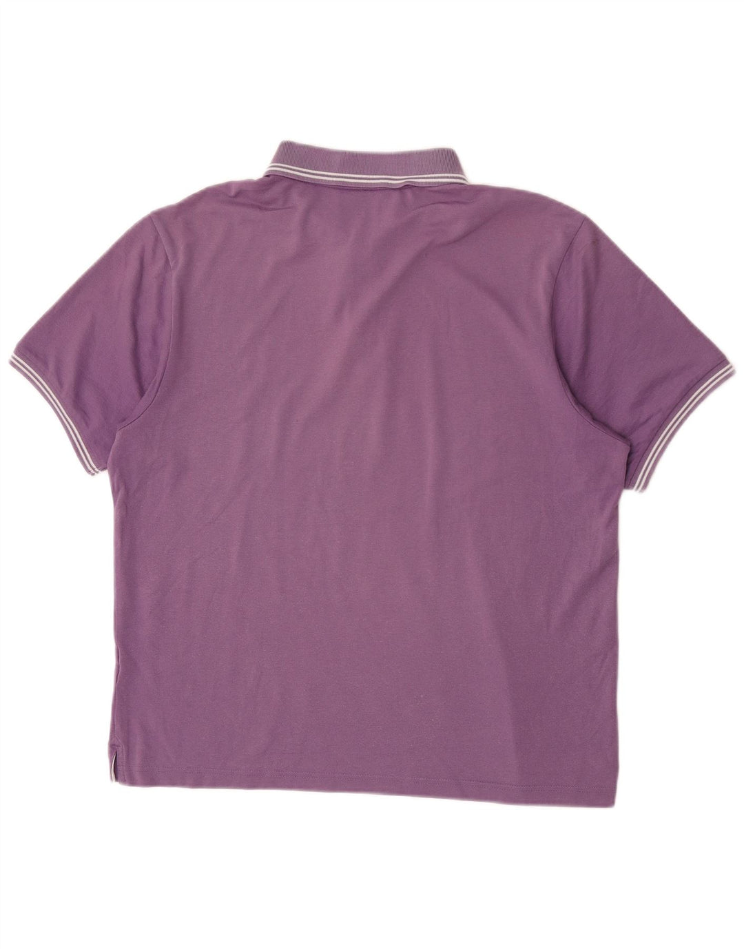 Champion Polo Homme Grand Violet