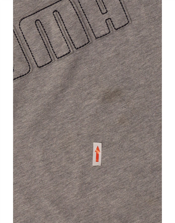 Puma Haut graphique à manches longues pour hommes, grand gris