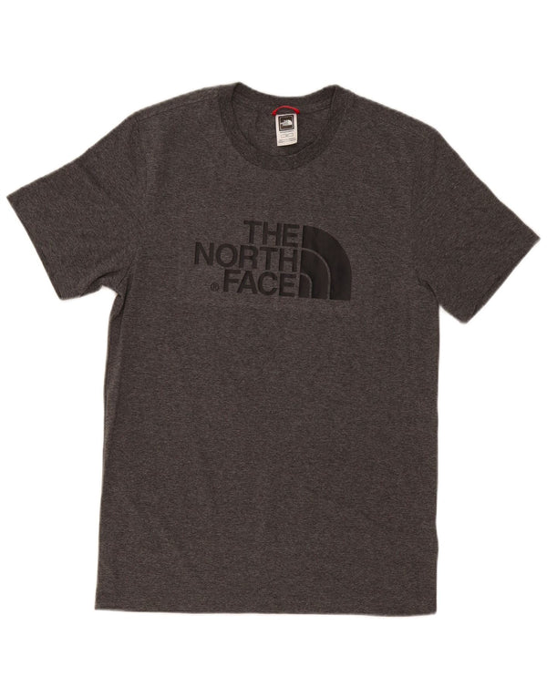 The North Face T-shirt graphique pour hommes, petit, gris, coton