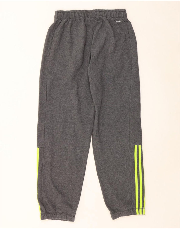 ADIDAS Pantalon de Survêtement Climalite Homme Gris Moyen Coton