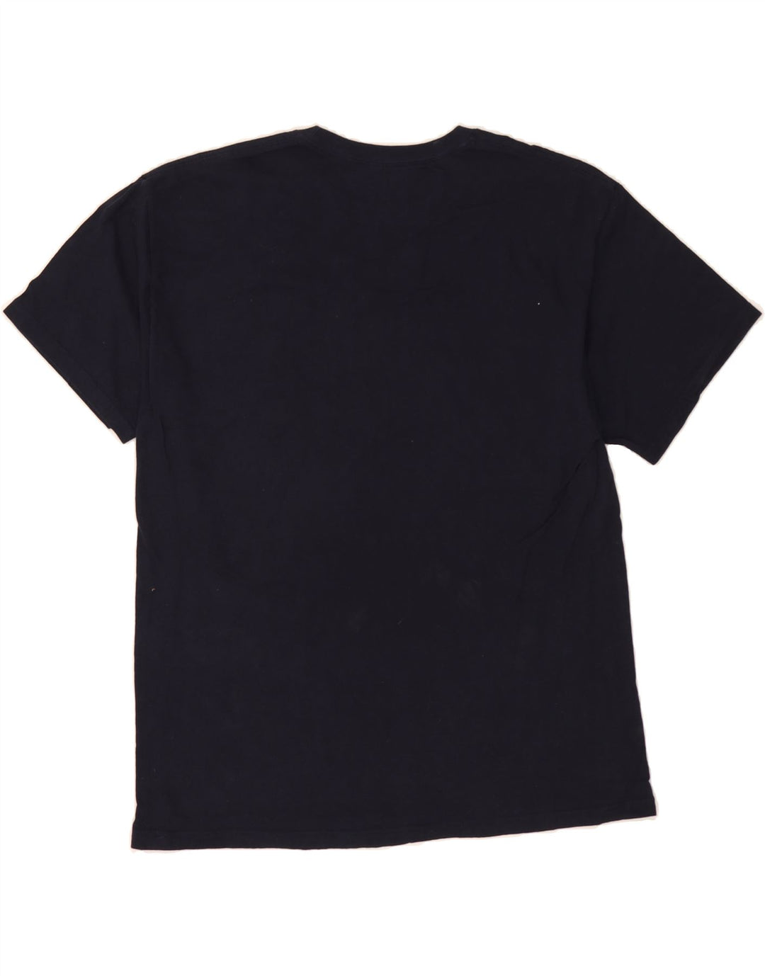 CHAMPION Mens Carroll University Graphic T-Shirt Top Large Navy Blue Vintage Champion and Second-Hand Champion from Messina Hembry 