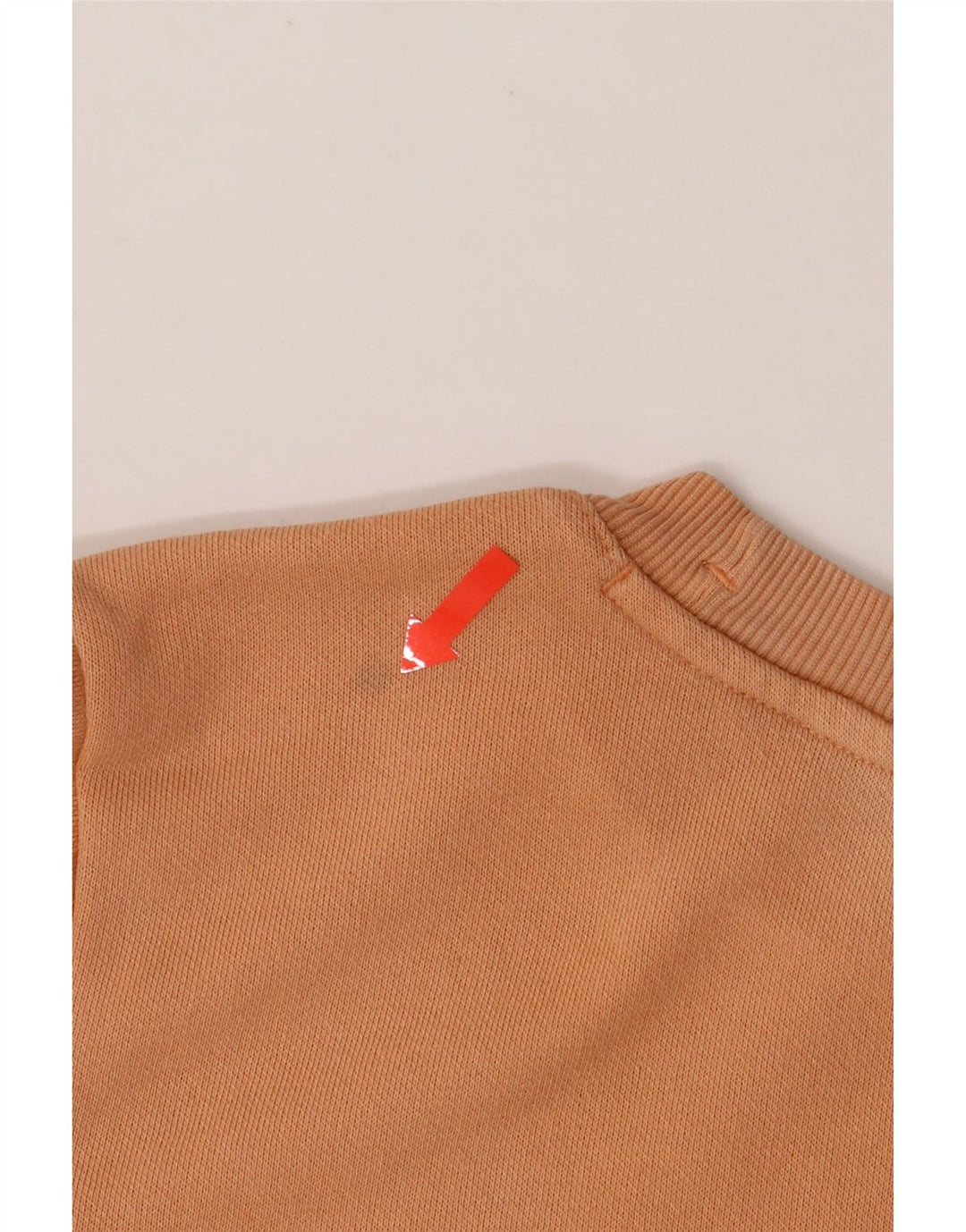 CHAMPION Womens Graphic Sweatshirt Jumper UK 14 Medium Orange Vintage Champion and Second-Hand Champion from Messina Hembry 